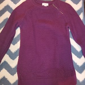 LOFT purple sweater